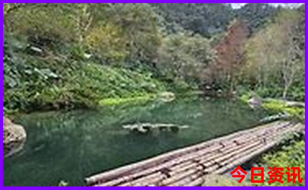 春节适合去哪个城市旅游